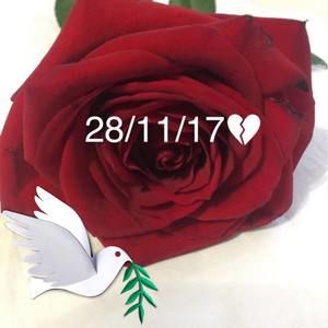 Meet your Posher, Isabel